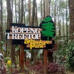 kopeng treetop adventure park