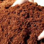Cara Membuat Pupuk Kompos Dari Dedaunan