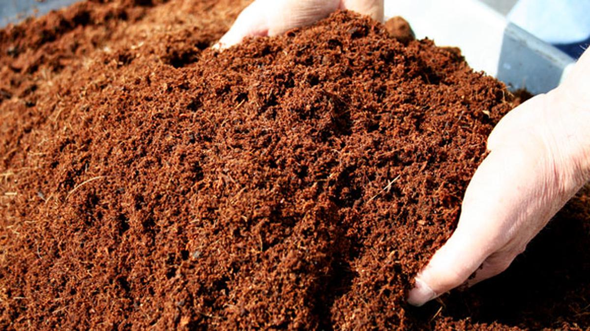 Cara Membuat Pupuk Kompos Dari Dedaunan