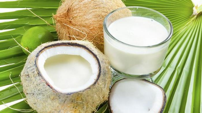 manfaat santan kelapa
