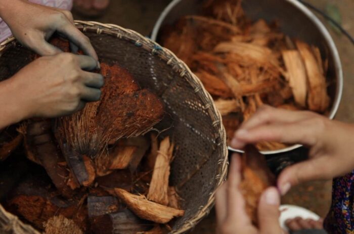 Cara Membuat Cocopeat Dari Sabut Kelapa
