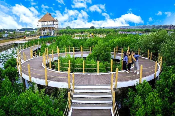 taman wisata alam mangrove